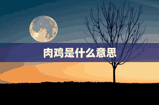 肉鸡是什么意思